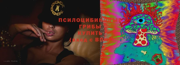 прущие крисы Вязники