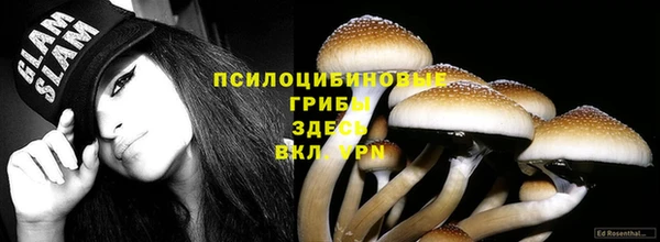 кристаллы Вяземский