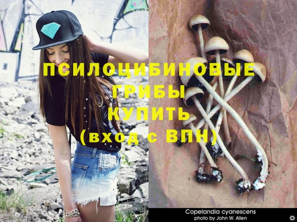 прущие крисы Вязники