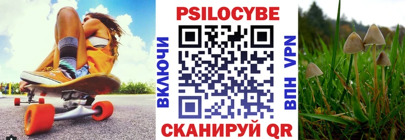 Галлюциногенные грибы GOLDEN TEACHER  где купить наркоту  Завитинск 