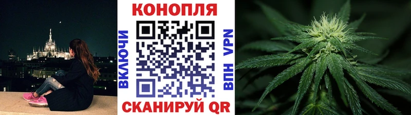 купить наркотик  Завитинск  KRAKEN рабочий сайт  Конопля Amnesia 